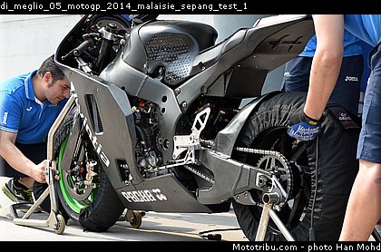 di_meglio_05_motogp_2014_malaisie_sepang_test_1.jpg