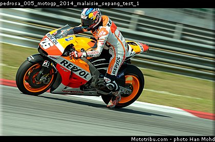 pedrosa_005_motogp_2014_malaisie_sepang_test_1.jpg