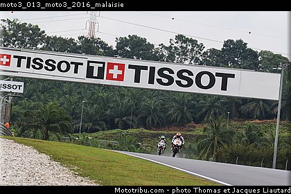 moto3_013_moto3_2016_malaisie.jpg