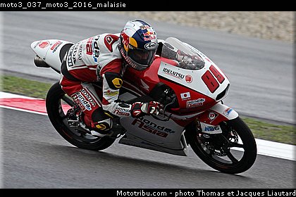 moto3_037_moto3_2016_malaisie.jpg