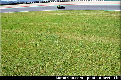 0017 motogp 2019 italie mugello fini.jpg