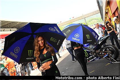 0037 motogp 2019 italie mugello fini.JPG