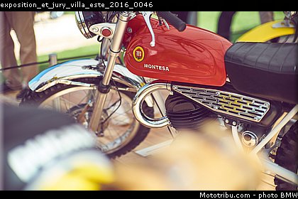 exposition_et_jury_villa_este_2016_0046.jpg