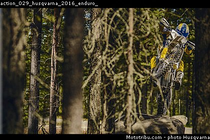 action_029_husqvarna_2016_enduro_.jpg